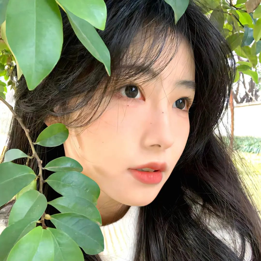 流浪者